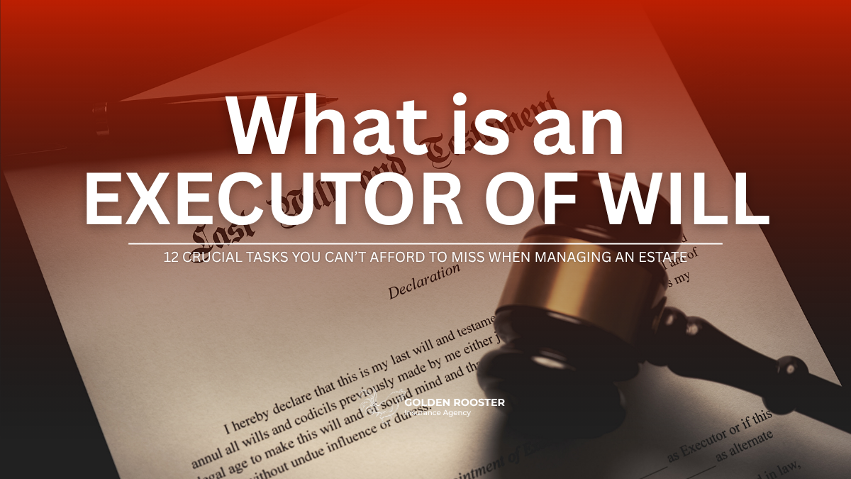 An executor of a will discussing estate matters with a client, highlighting the importance of legal guidance in estate planning.